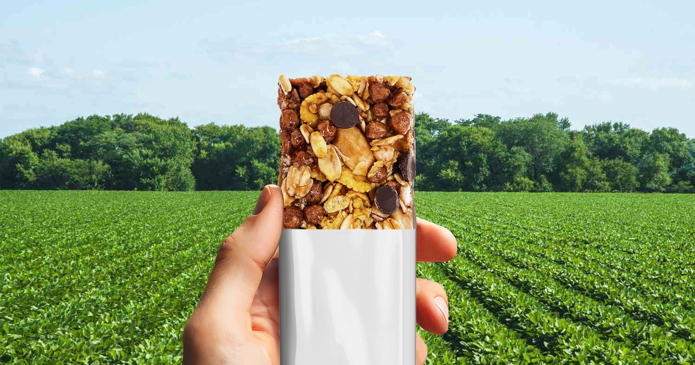 Nellson Sustainability Blog