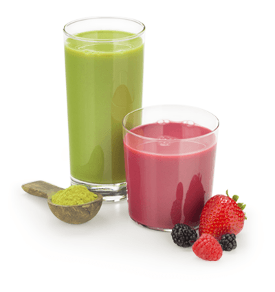 Plant Based Matcha Red Berry